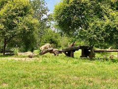 -北京野生动物园