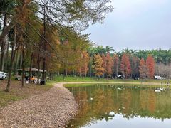 -华南师范大学(广州大学城校区)