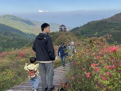 -大围山国家森林公园