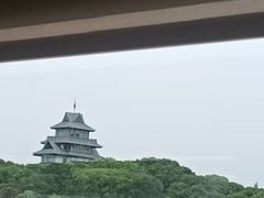 -金鸡湖游船(月光码头)