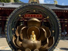 -庐山风景名胜区-东林大佛