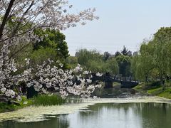 -堤角公园