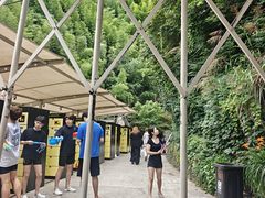 -将军关探险漂流