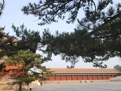 -北京市劳动人民文化宫(太庙)
