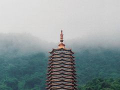 -深圳仙湖植物园