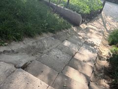 -黄村公园