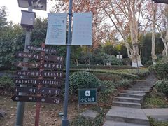 -菊花台公园