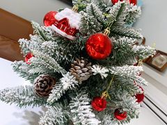 -妞妞家(银通店)