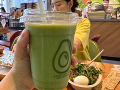 -油梨树AVOCADO TREE(望京店)