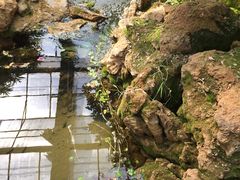 -南通洲际绿博园