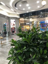 -名作·臻美Hair SaLon