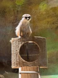 -酷嗒动物文化乐园(cutezoo西溪乐天城店)