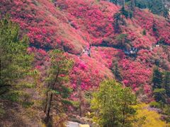 -木兰云雾山
