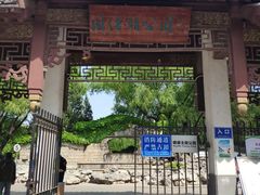 -团结湖公园