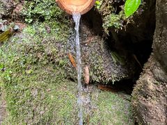 -阿依河景区