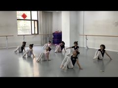 -西安小天鹅艺术团(金花路校区)