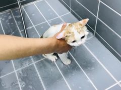 -嘉馨宠物医院·CT影像转诊·心脏科·犬猫全科诊疗中心(下沙大学城院区)