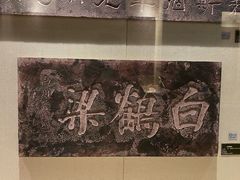 -白鹤梁水下博物馆