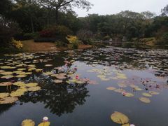 -云溪植物园