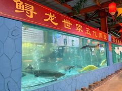 景观位-年辉渔村·非遗传承餐厅(新丰江店)