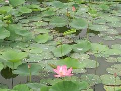 -天津东丽湖风景区