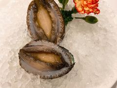 六头鲍鱼-红雀围·海鲜火锅(陆家嘴中心店)