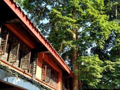 -峨眉山报国寺