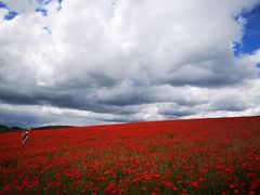 -Phở Bánh Cuốn 14