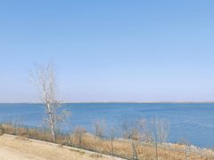 -江滩湿地公园