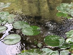-南山风景名胜区