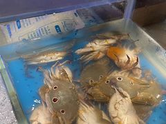 -加餐海鲜自助(宝龙一城店)