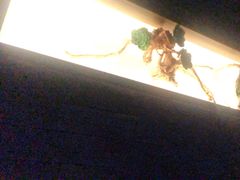 -大桶大足浴(周浦店)