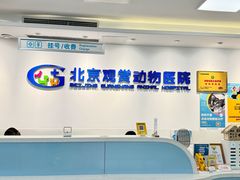 -北京观赏动物医院·24小时大型综合·猫专科·异宠专科