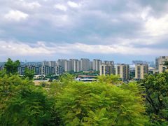 -飞凤山奥体公园
