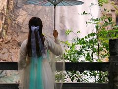 -洛阳白云山景区