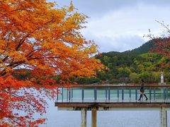 -逸廊大堂吧-下午茶·简餐-千岛湖自由洲际殿