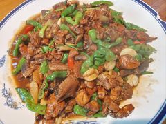 -食鸡公社辣子鸡·潍坊菜·烧烤