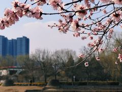 -太阳宫公园