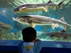 -厦门海底世界
