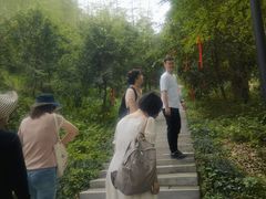 -东明山森林公园