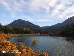 -广州市石门国家森林公园