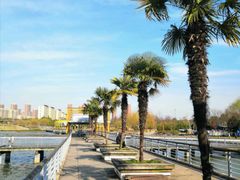 -白塘生态植物园