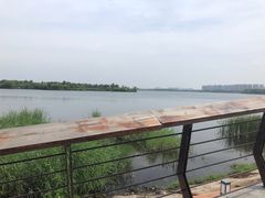 -丁香湖公园