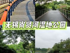 -尚贤河湿地