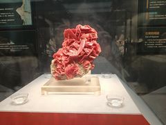 -湖南省地质博物馆