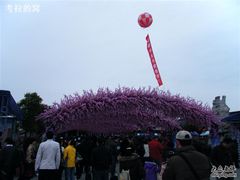 -南汇桃花村