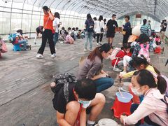 -前小桔亲子创意农场·草莓采摘·露营烧烤