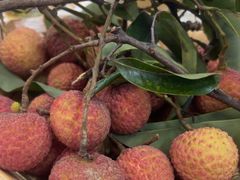 -胜海大排档·海鲜·黄鳝饭(十年老店)