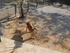 -无锡动物园·太湖欢乐园