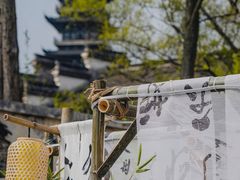 -乌镇景区